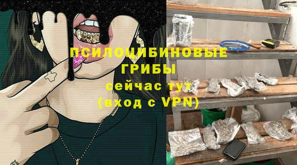 молекула духа Володарск