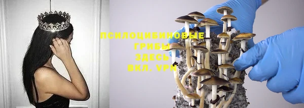 молекула духа Володарск