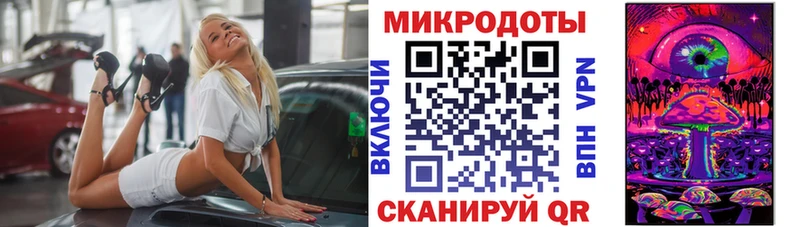 где купить наркоту  Вичуга  Псилоцибиновые грибы мицелий 
