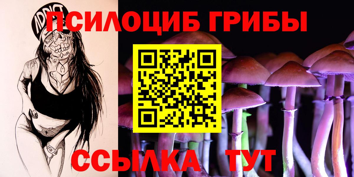 Псилоцибиновые грибы прущие грибы Вичуга