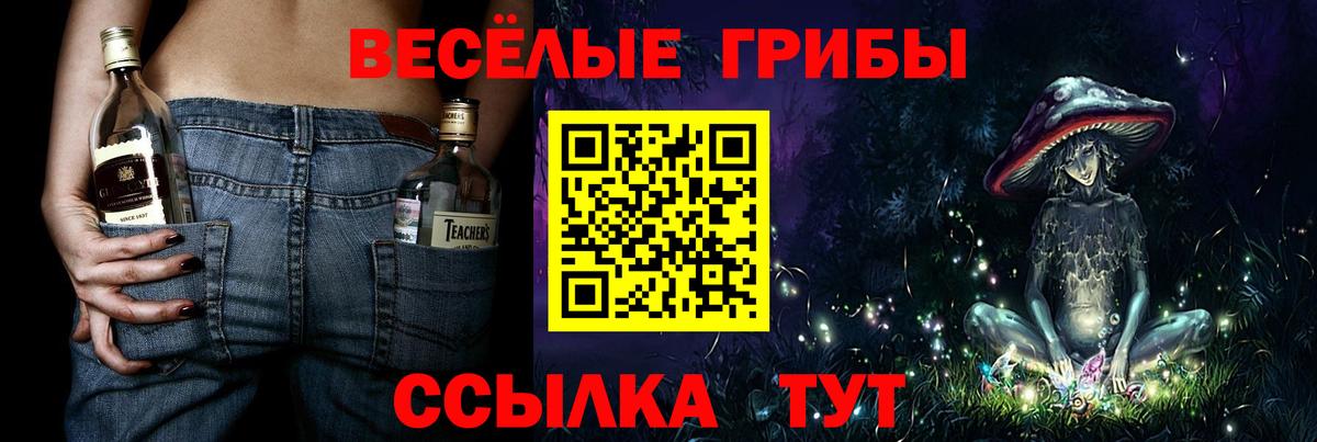 ГАШ  Экстази  МЕФ   Alpha PVP СОЛЬ кристаллы  Вичуга  Кокаин  Вход с VPN 