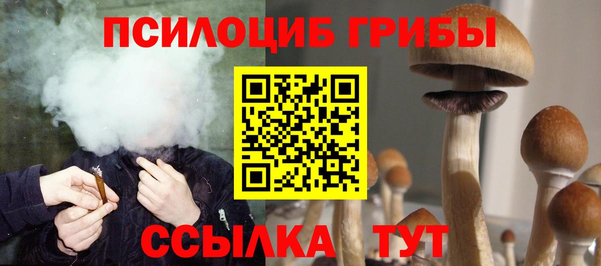 купить наркотик  Вход с VPN  Вичуга  Псилоцибиновые грибы ЛСД 